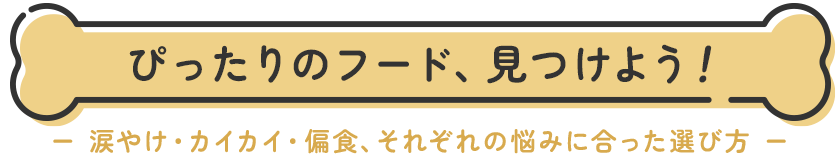 ガイドライン